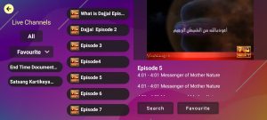 DLS 4