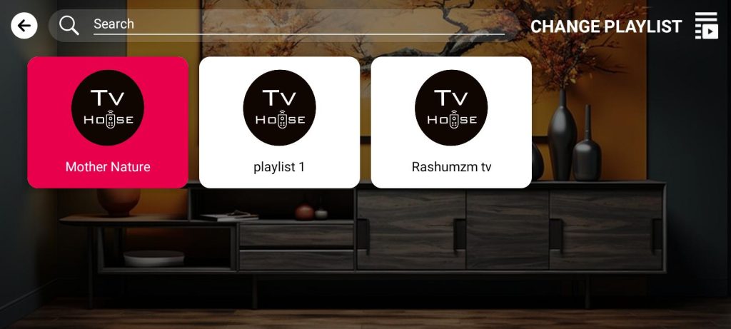 TV HOUSE 3