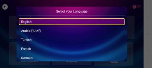 Geo IPTV 8