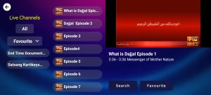Geo IPTV 4