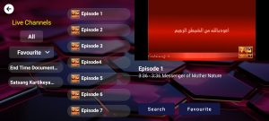 Max Media Player 4