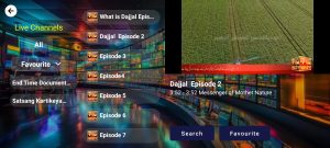 TV365 4