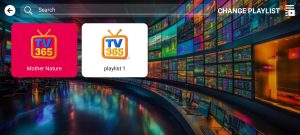 TV365 3