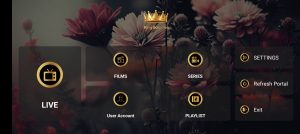 King Solomon 2