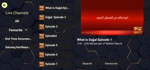 Dragons TV 4