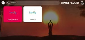 The Lifestyle Strategy 3